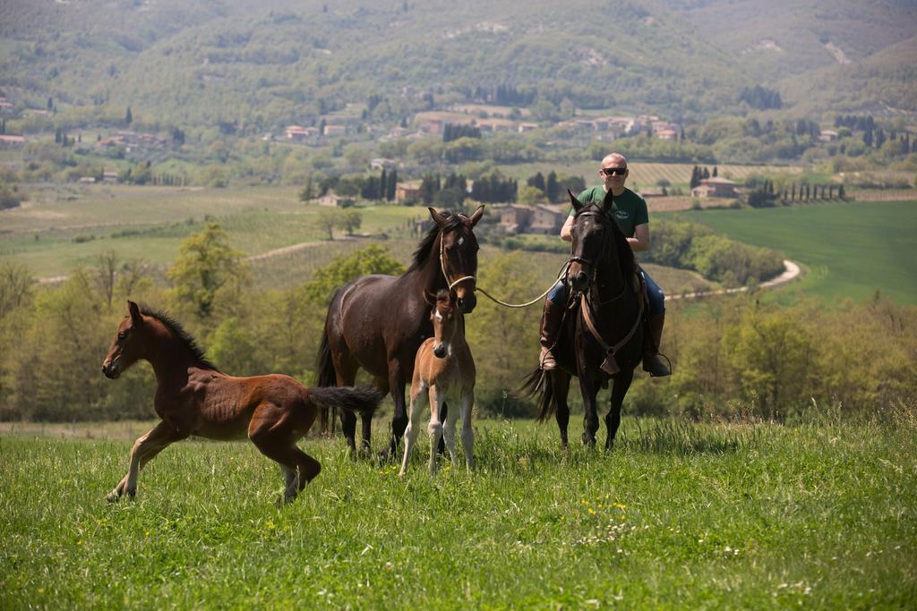 Poggiovalle Tenuta Italiana Città della Pieve Exterior photo